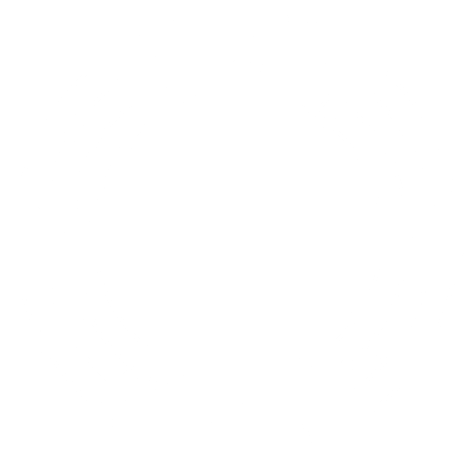 Quantum Tiger