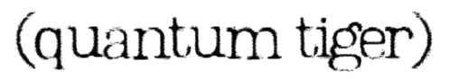 Quantum Tiger